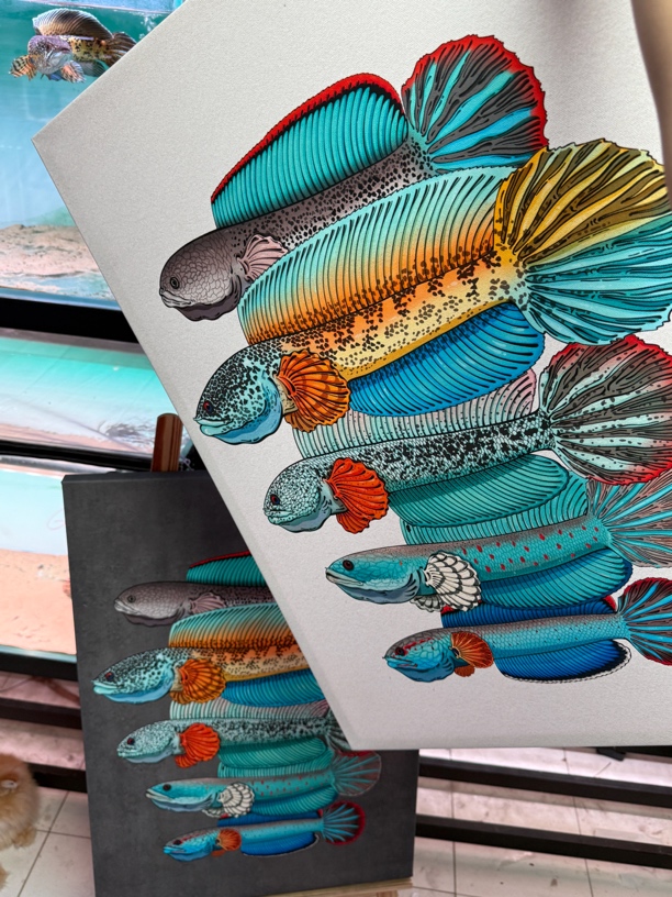 原创定制雷龙鱼全家福装饰画 背景色可替换