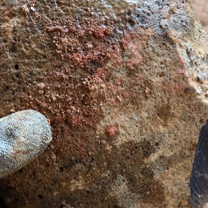 M***见定制玛瑙玛瑙玛瑙手镯