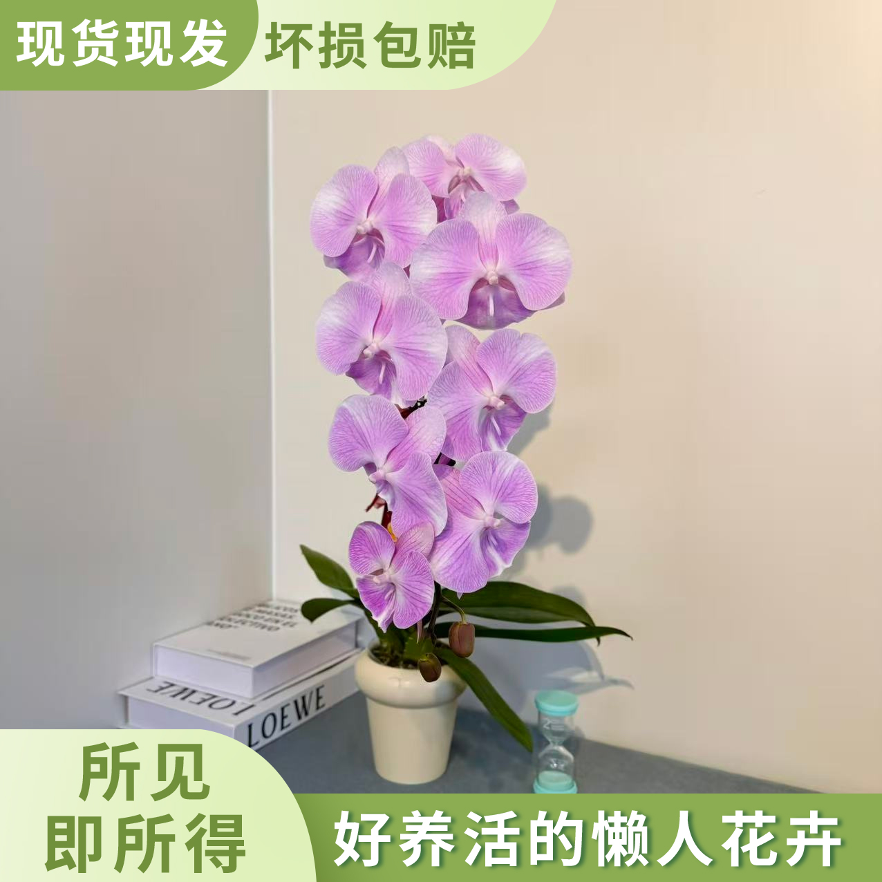 S级【天仙】粉色系高个子大花 小众气质送人送礼客厅绿植