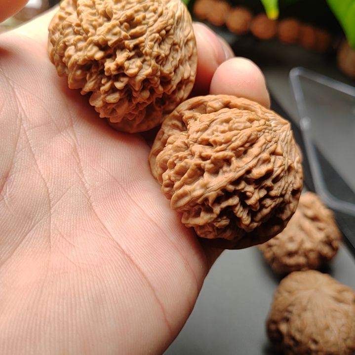 吊坠文玩核桃满天星狮子头