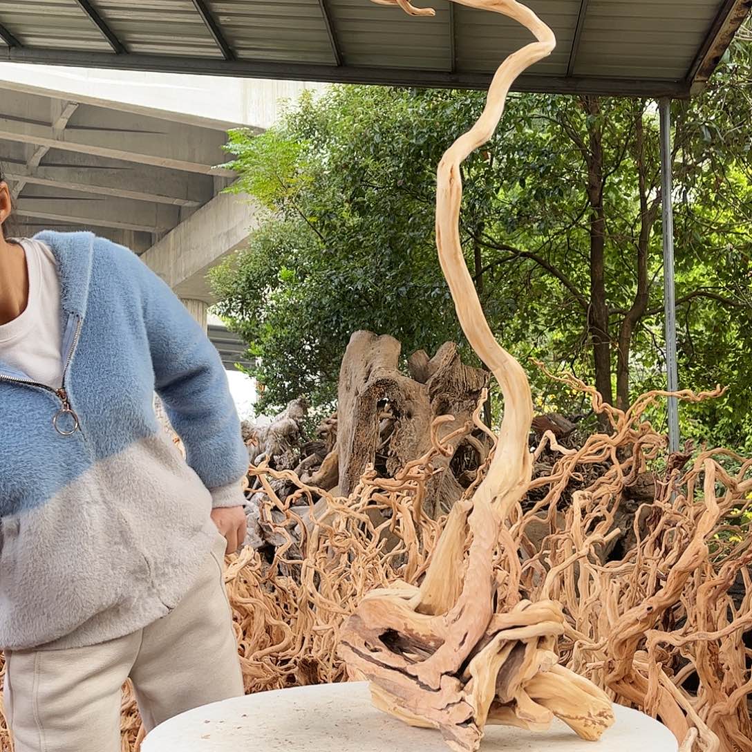 ****ᴳ木我的小姐姐们都杜鹃