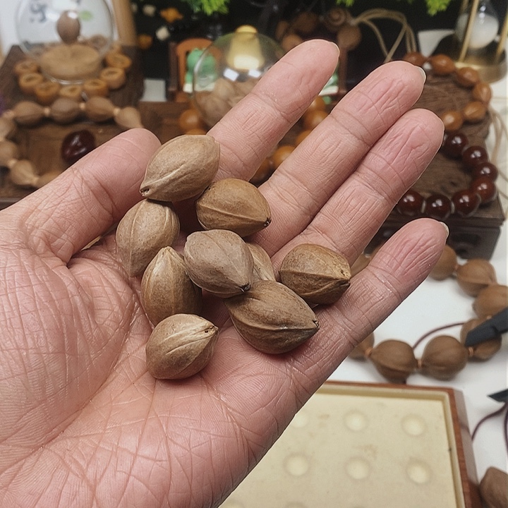 橄榄核手串17×26梅林铁核福利款素串9颗