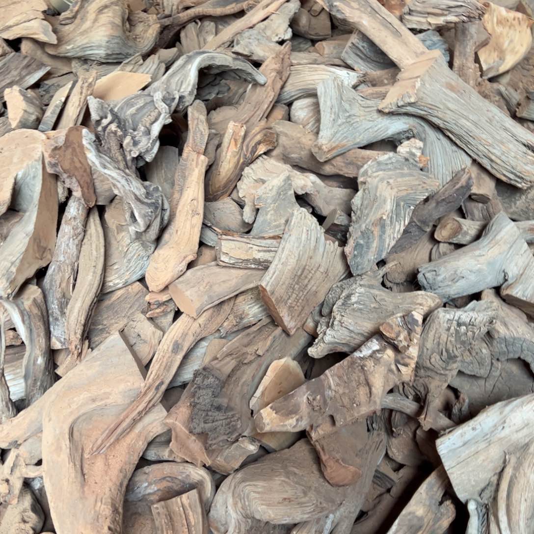 柏木（崖柏）太行崖柏陈化太行