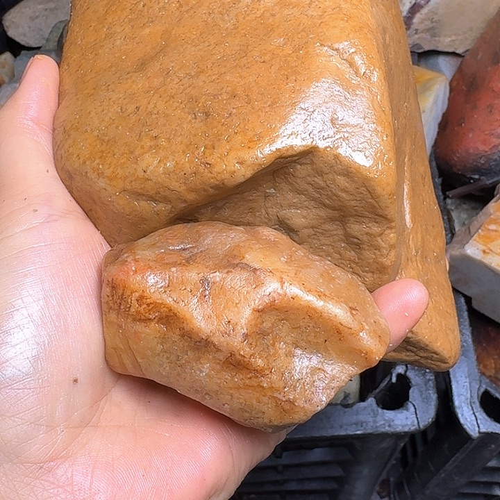 金***洲寿山石寿山石的颜色