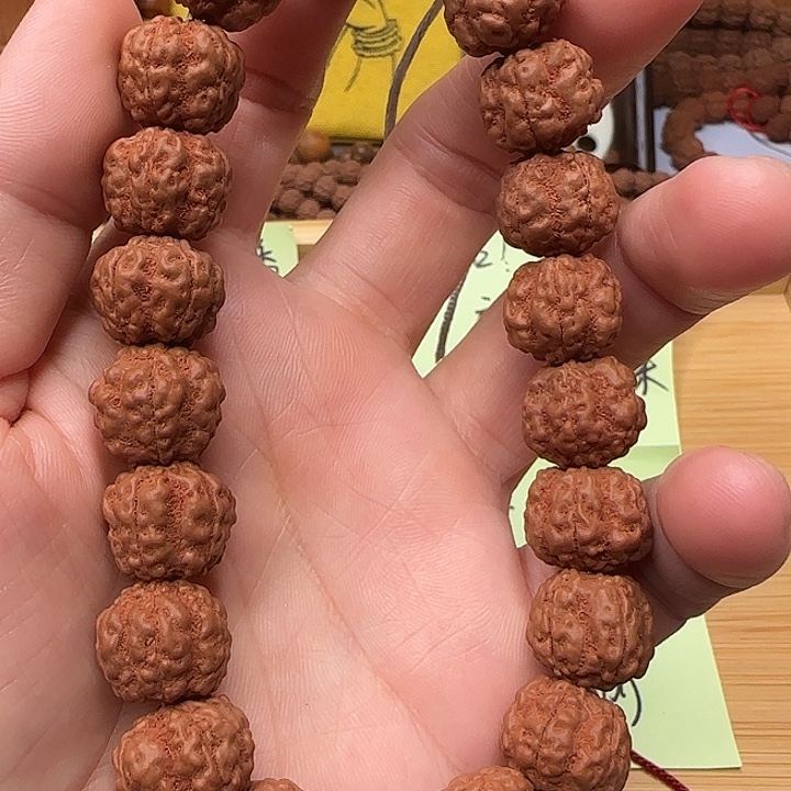 金刚菩提吊坠毒药梅花手持