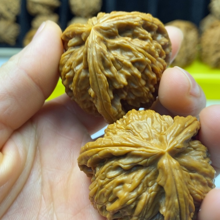 轩***装无花朵爆单爆单哈哈哈