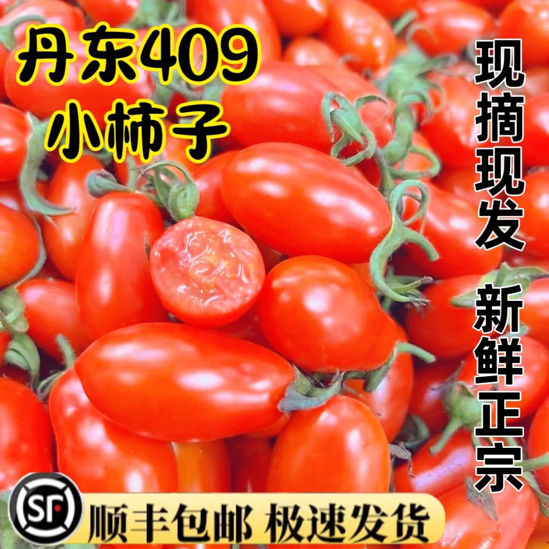 【北京新发地直发】丹东花生柿子番茄小西红柿千玺圣女果【顺丰包邮】辽宁省2-12斤新鲜水果辽宁省