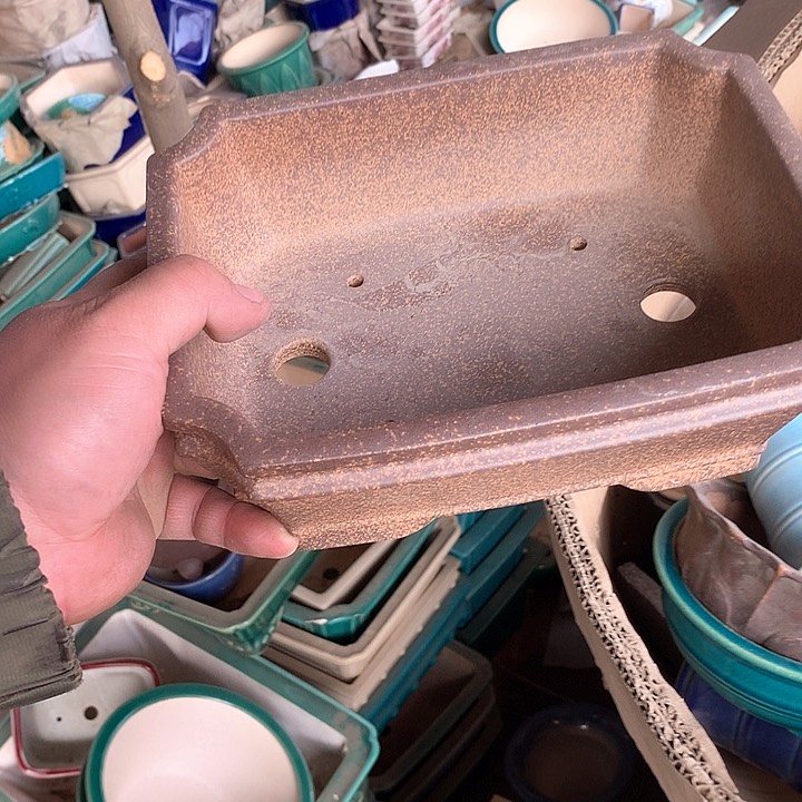 紫砂我要不明天要回家