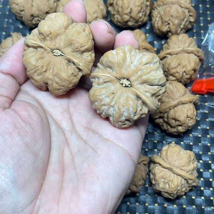 核桃其他油**叔蛤蟆头。  42