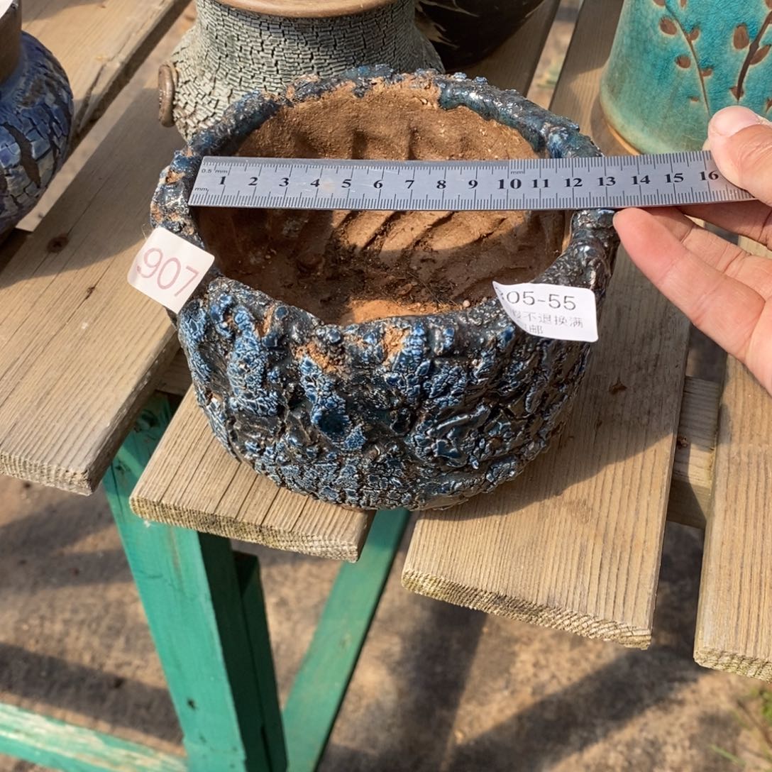 红陶55号多肉盆一个呀