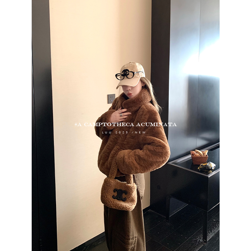 LUU桃喜儿/咖色立领短款韩系休闲毛毛外套女秋冬设计感宽松上衣