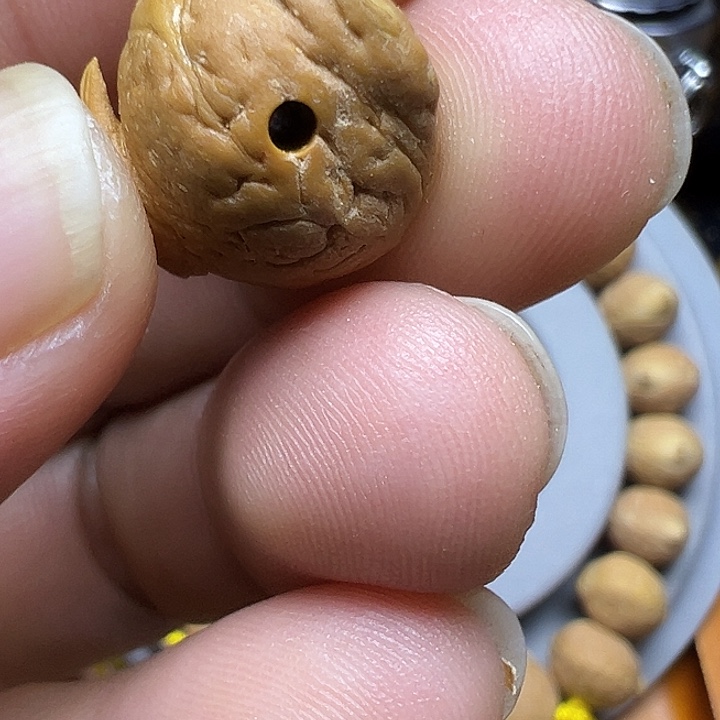 法***罗凤眼菩提吊坠龙爪单颗