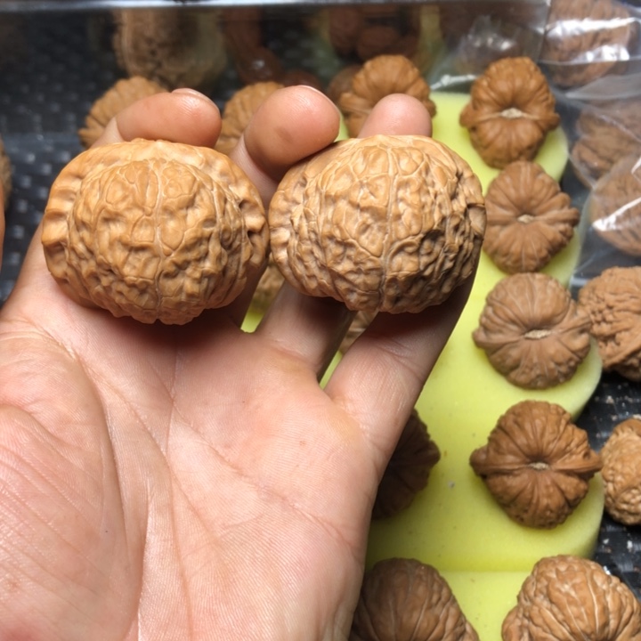 用***6大叶紫檀（黑酸枝木类）