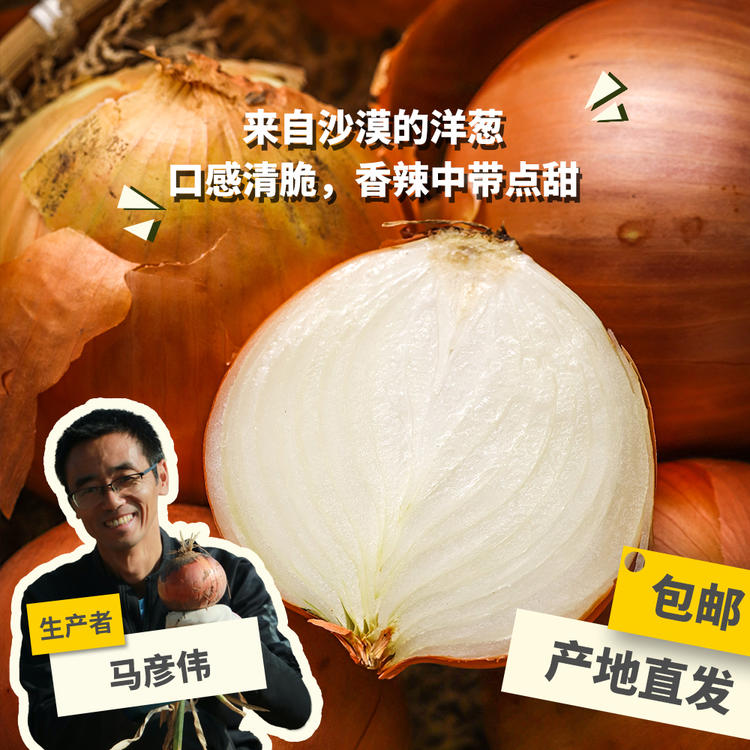 生态大漠洋葱 5斤（紫黄混装，黄色偏多）绿手指份额农园
