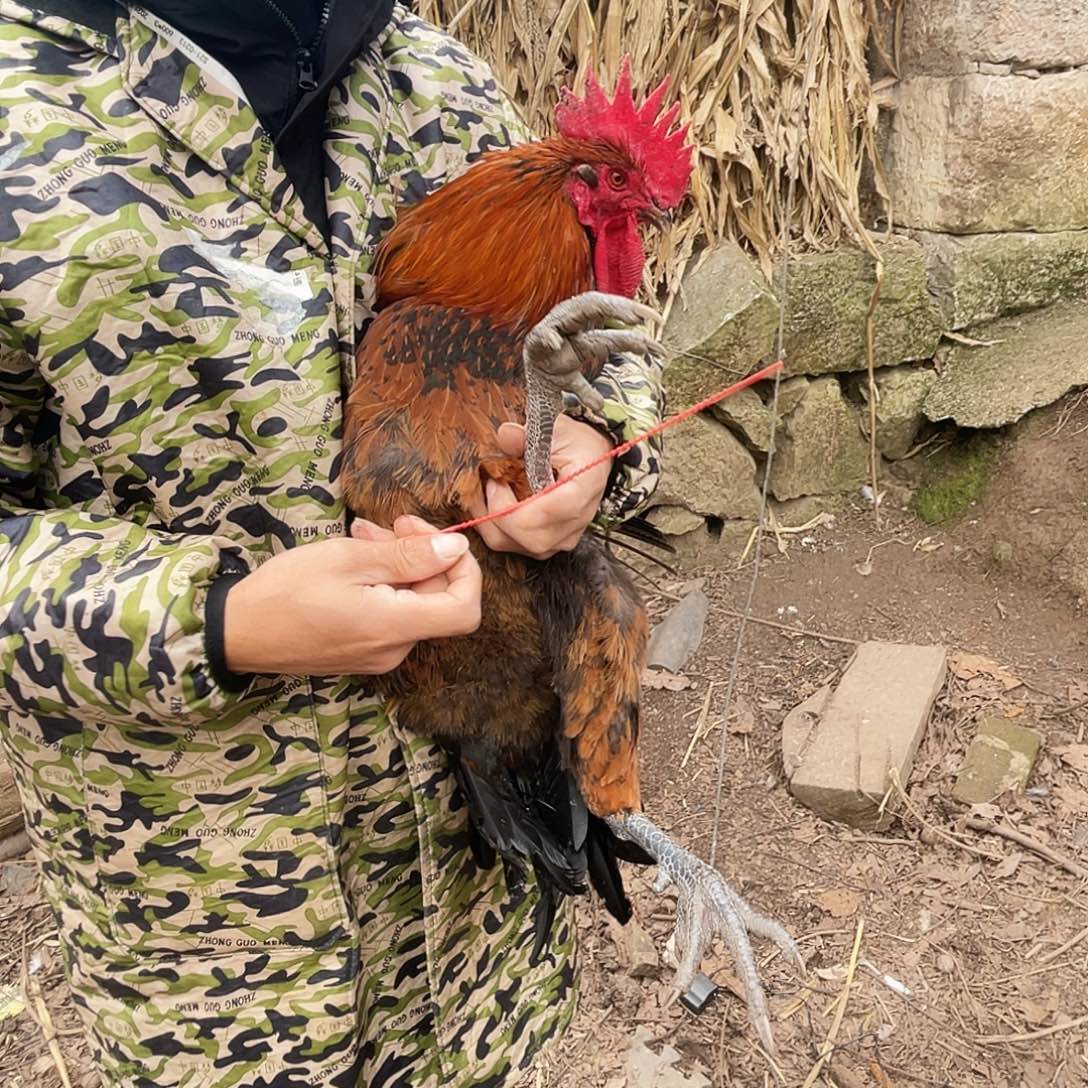 ……….180中国大陆包装164号