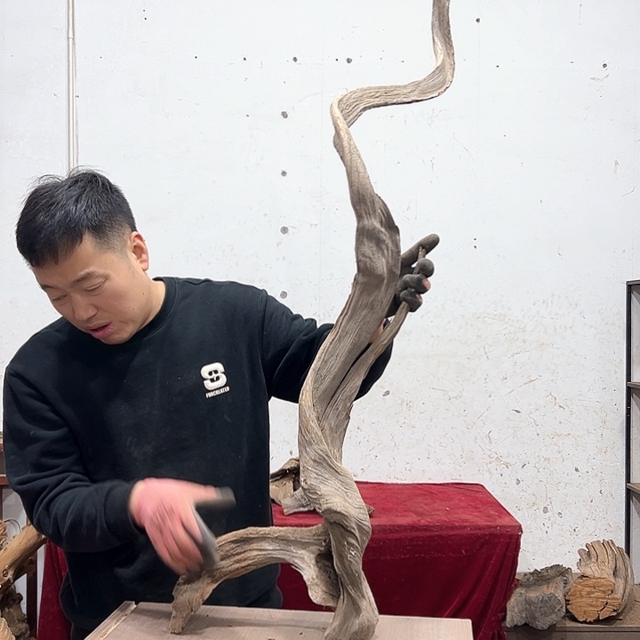 柏木就**语我们都是好孩子呀我也是