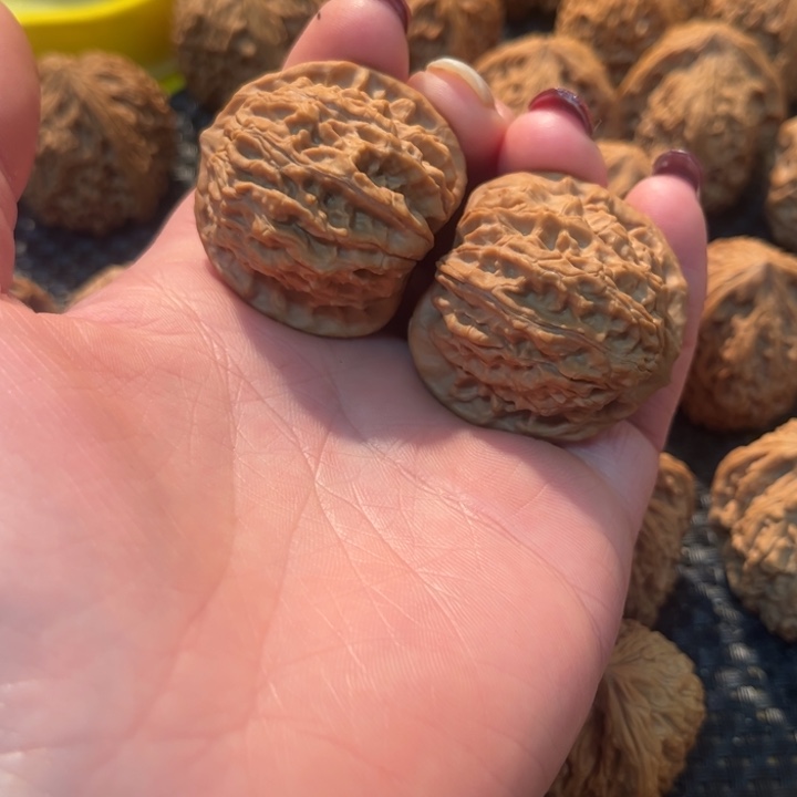 文玩核桃把件野果