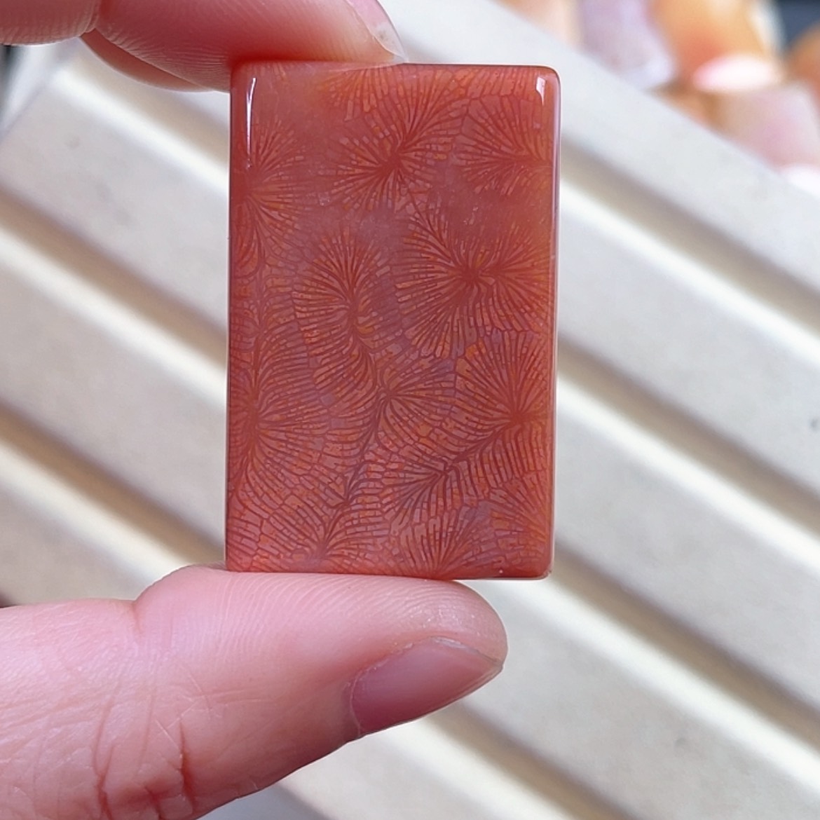 【闪购商品】硅化玉手串未镶嵌