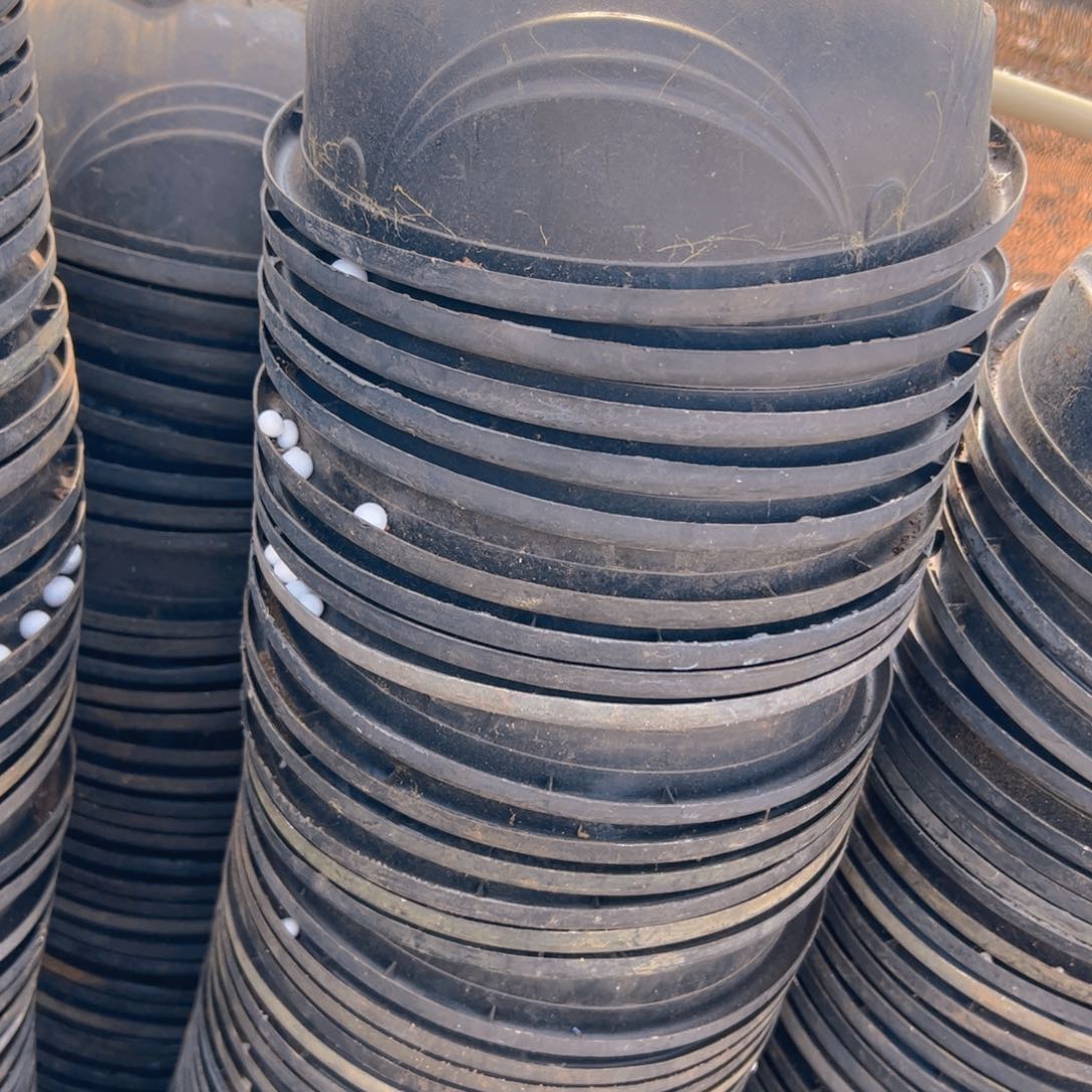 塑料硬吊兰盆21口径9.5高 10个