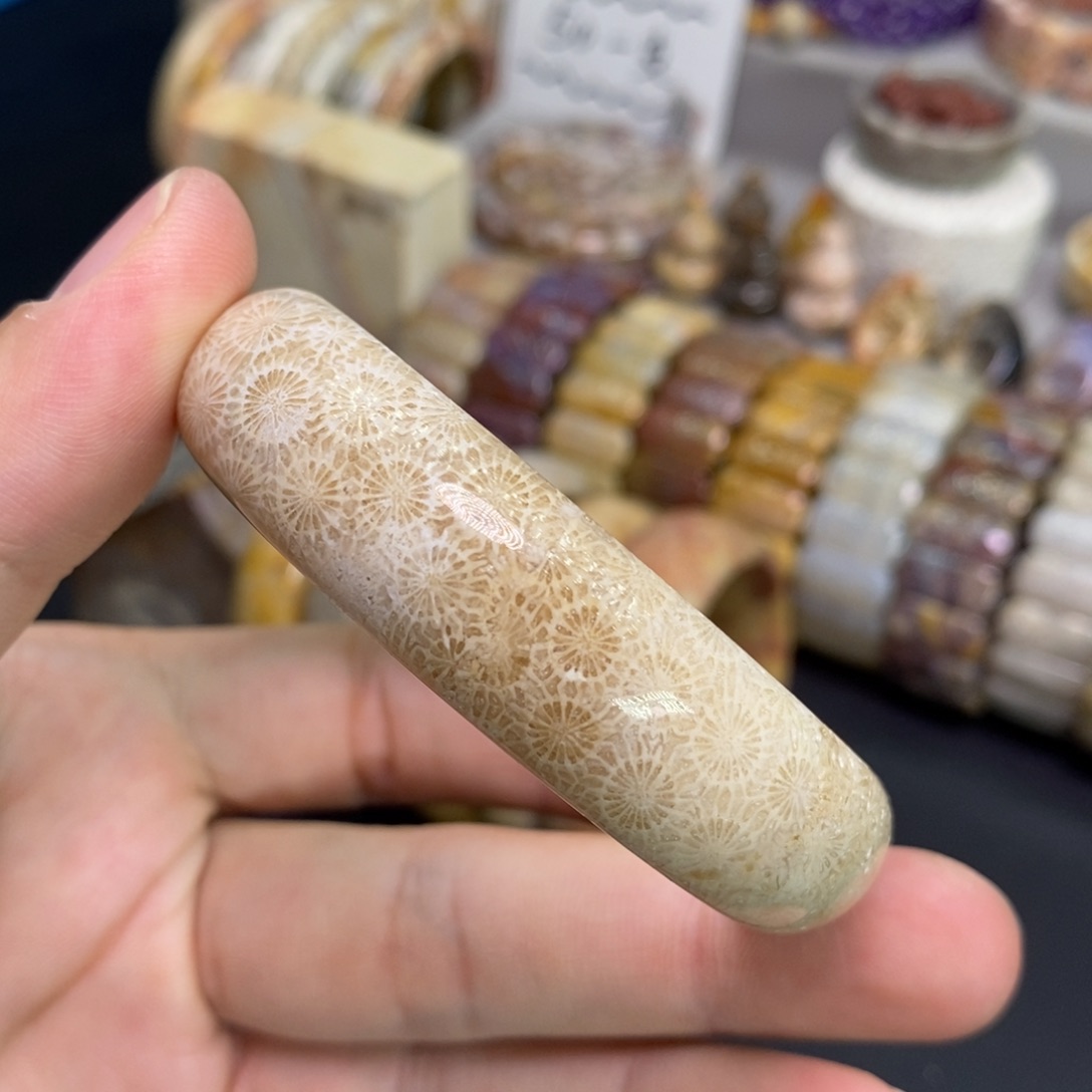 硅化玉未镶嵌手镯