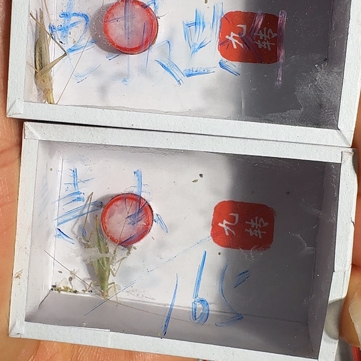 鬼***狐蟋蟀蝈蝈我在外面1111111