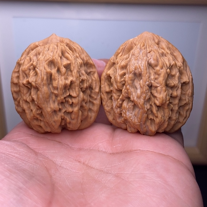 核桃小尺寸麦穗虎头