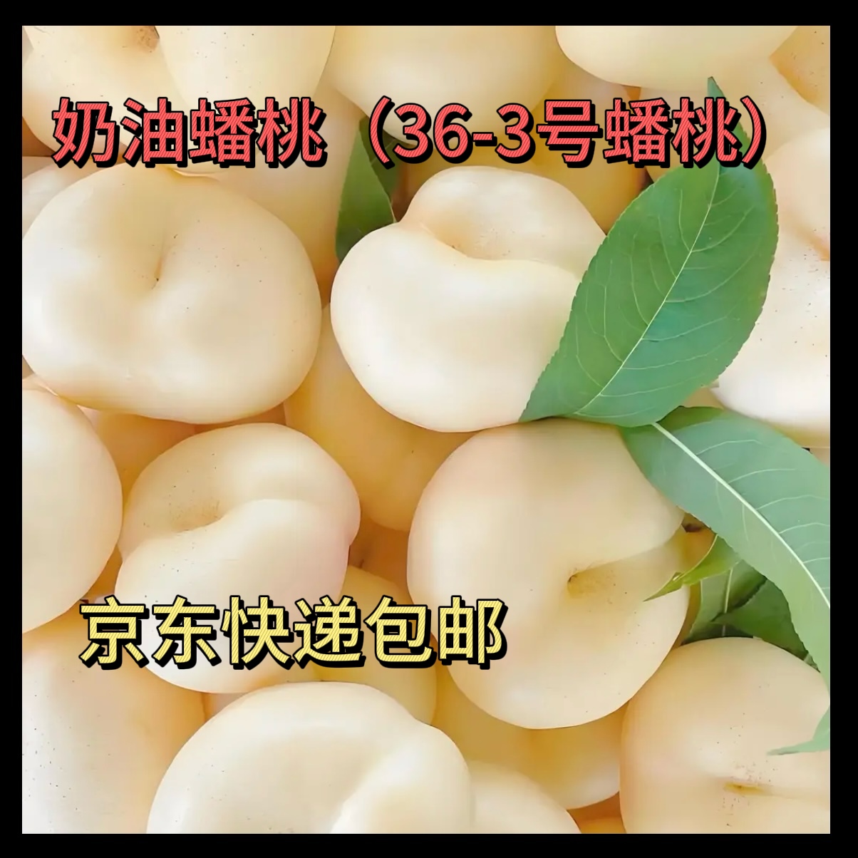【京东快递】山东沂蒙山奶油蟠桃（36-3号蟠桃）脆甜多汁新鲜现摘