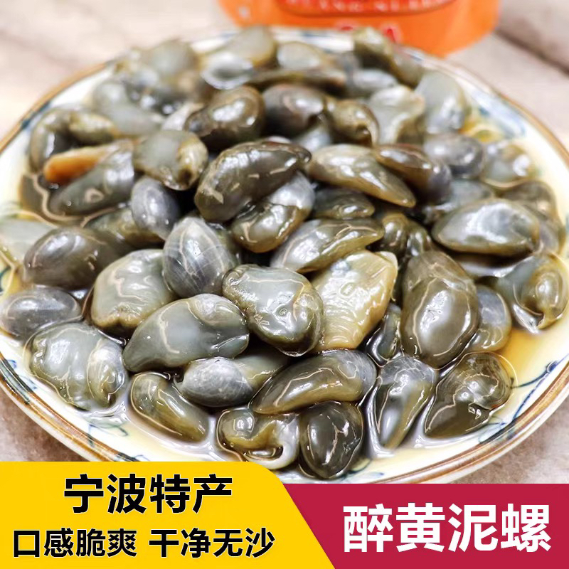 泥螺即食罐装黄泥螺鲜活新鲜醉泥螺罐头无沙舟山特产花式宁波正宗