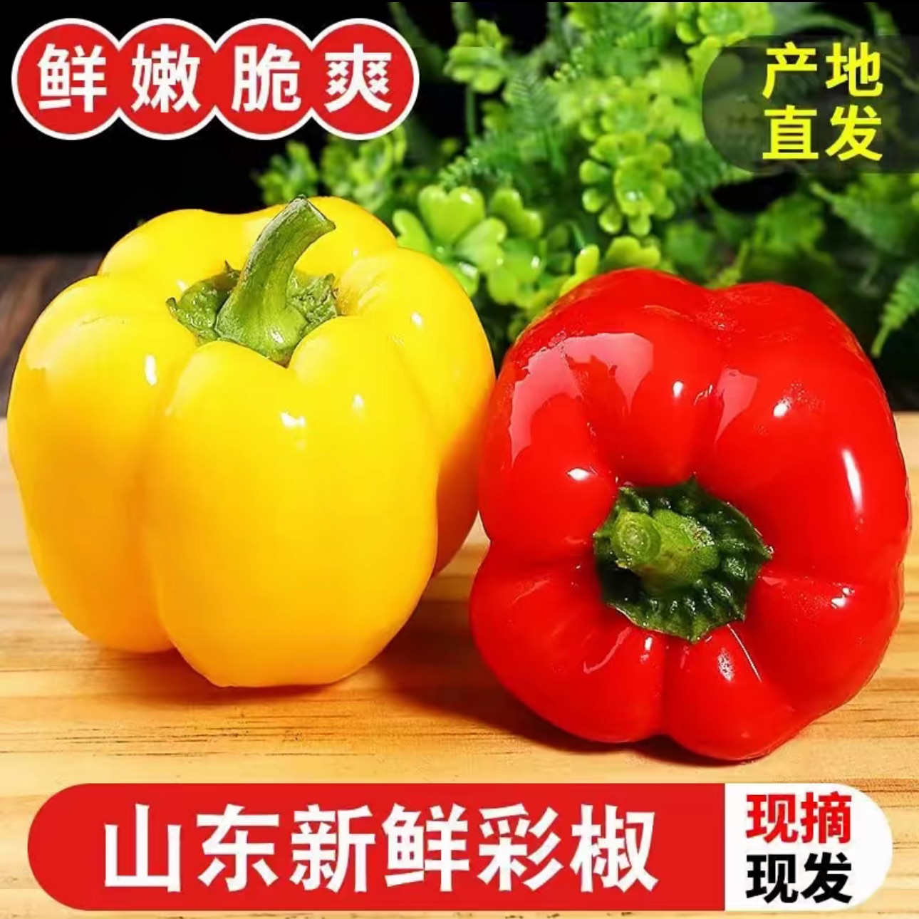 【京东顺丰包邮】寿光新鲜采摘五彩椒水果椒生吃不辣红黄灯笼椒