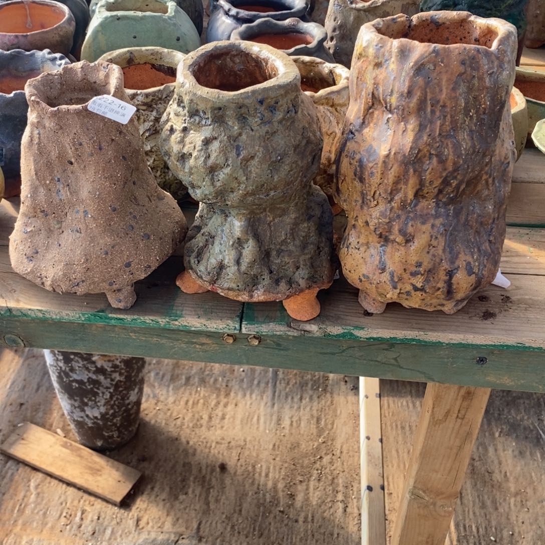 上***）16号多肉盆三个组合