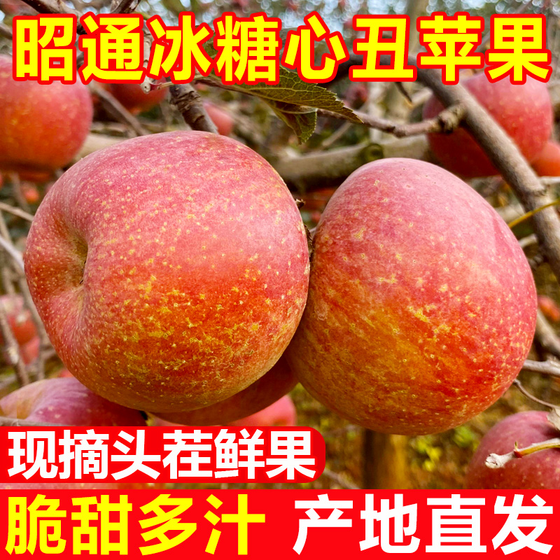云南昭通丑苹果当季水果冰糖心苹果新鲜整箱脆甜2/5斤红富士现货