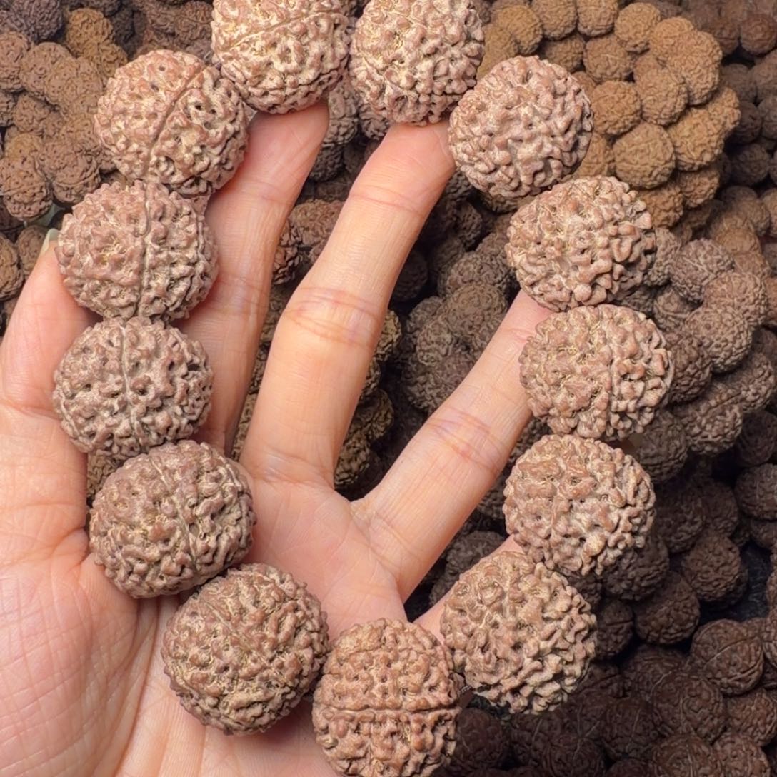 金刚菩提手串7瓣卡27尺，56号