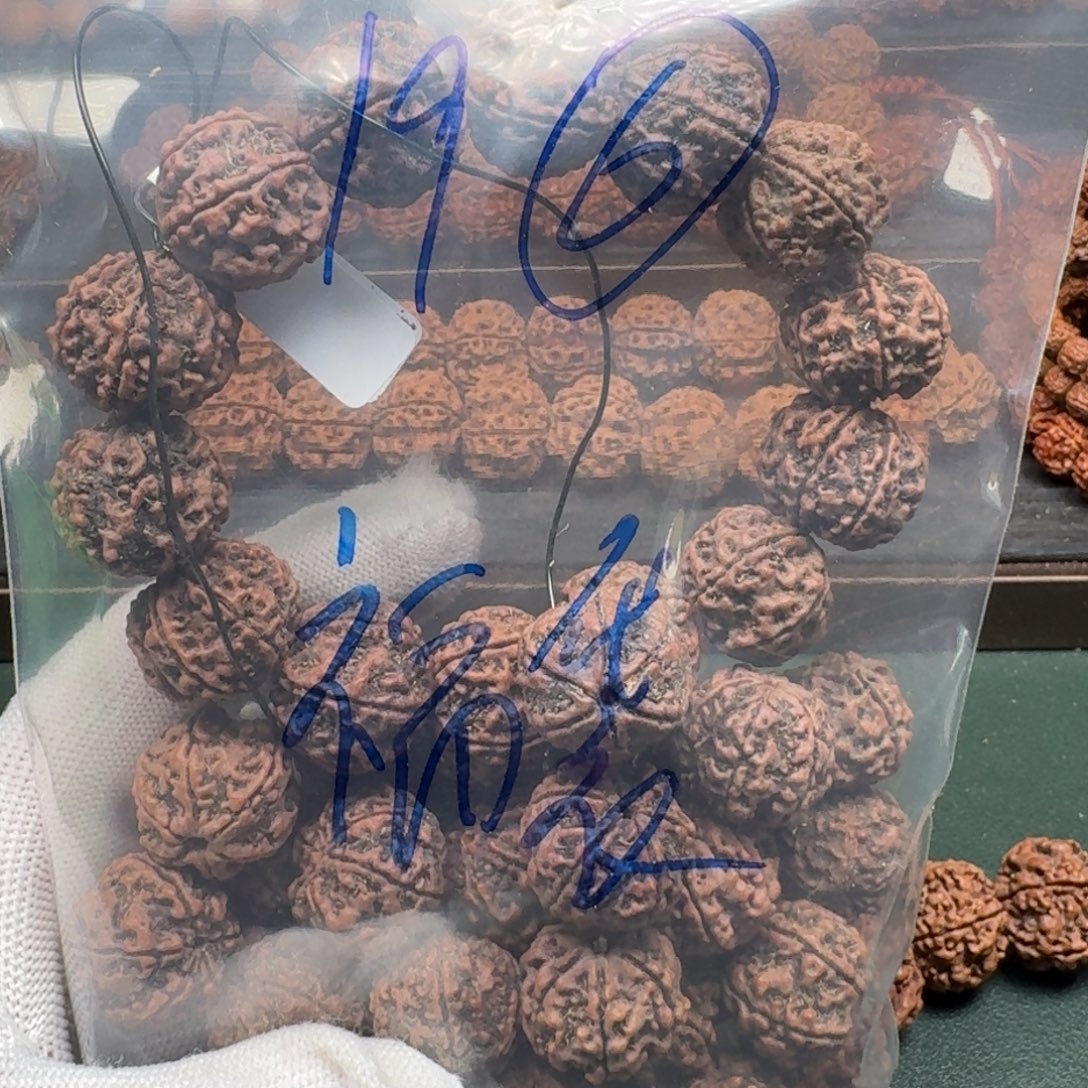 永***域手串金刚菩提19福袋