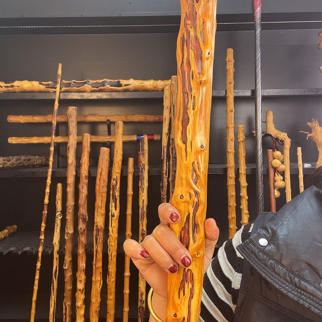 南对节南对节疤棍