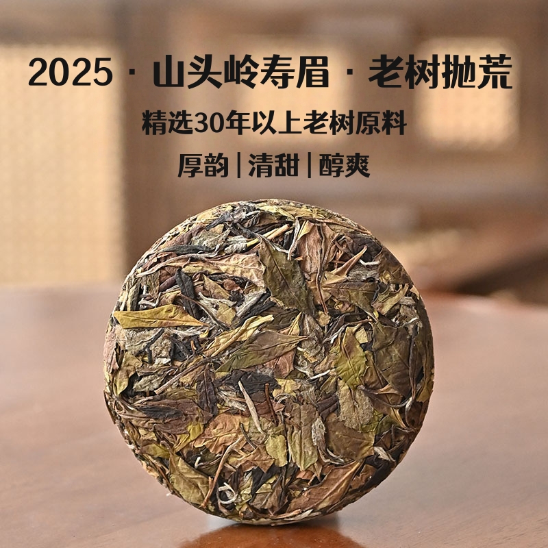 2025山头岭纯抛荒老树春寿眉福鼎白茶管阳高山寿眉自家茶园基地茶