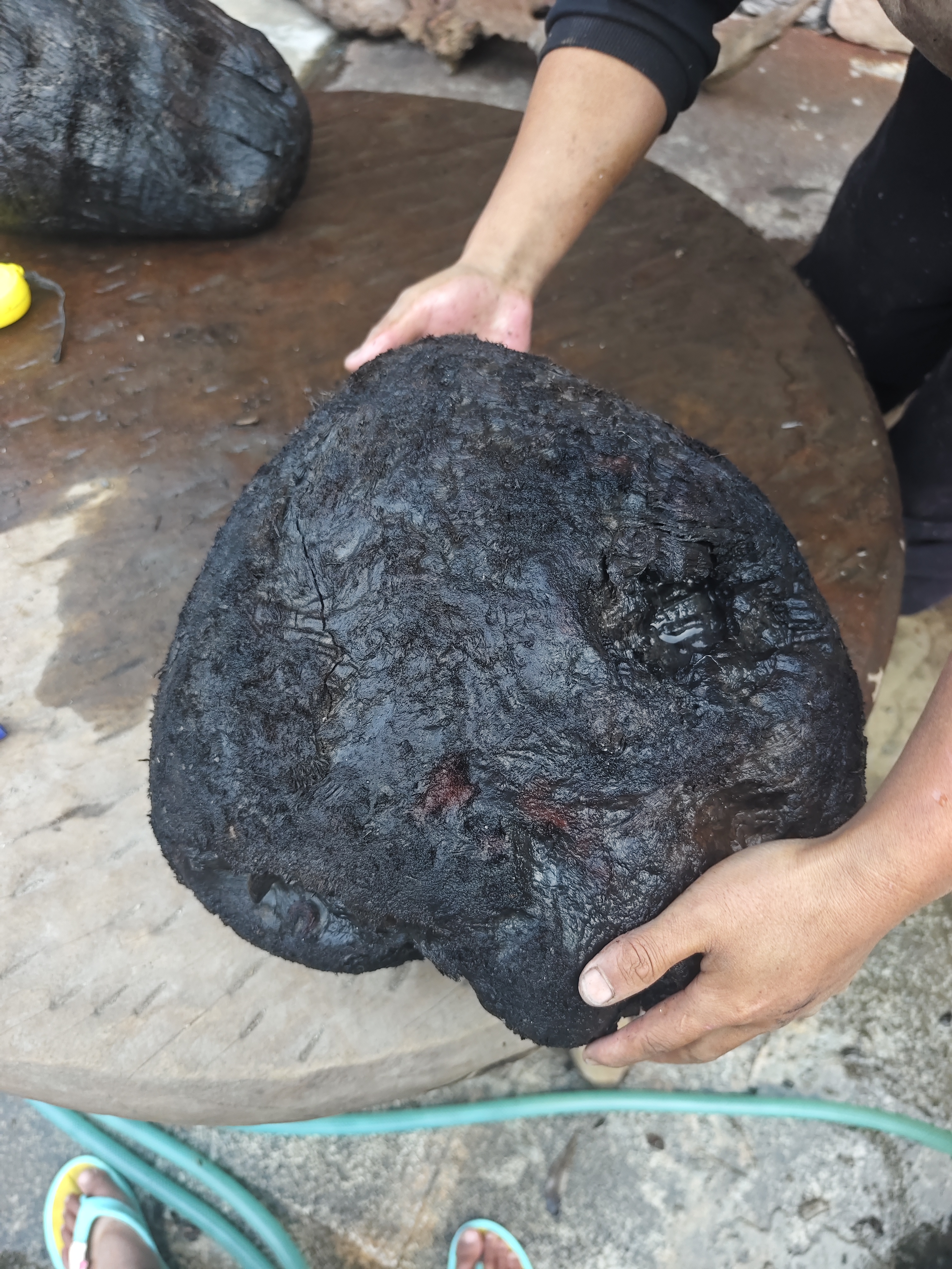 民间使用风化木漂流木