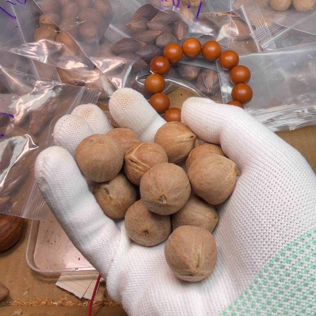 *****手串/手链橄榄核1