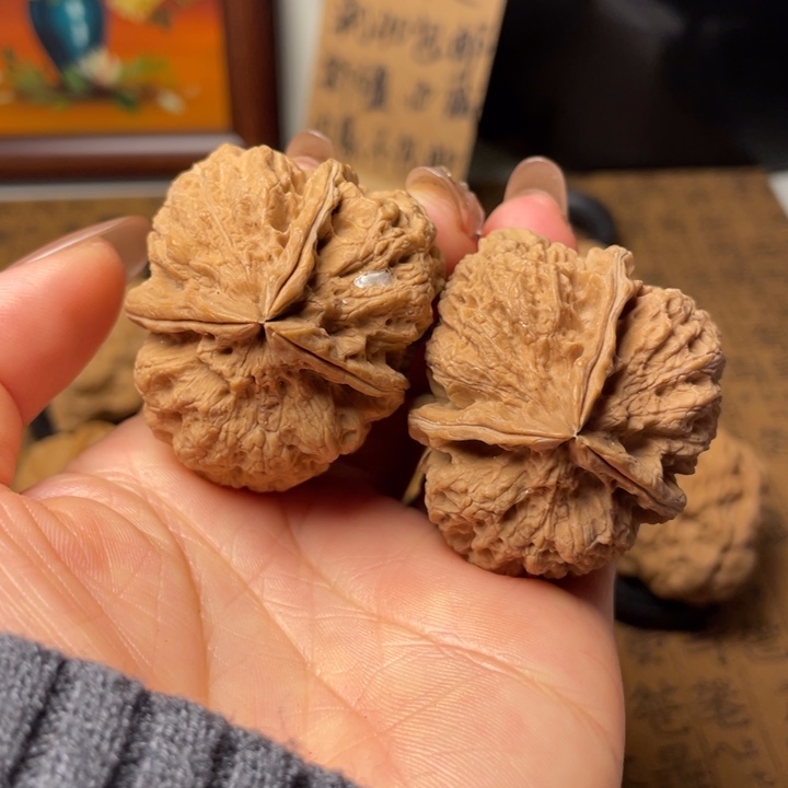 D*调云南野生铁核桃默认微瑕55