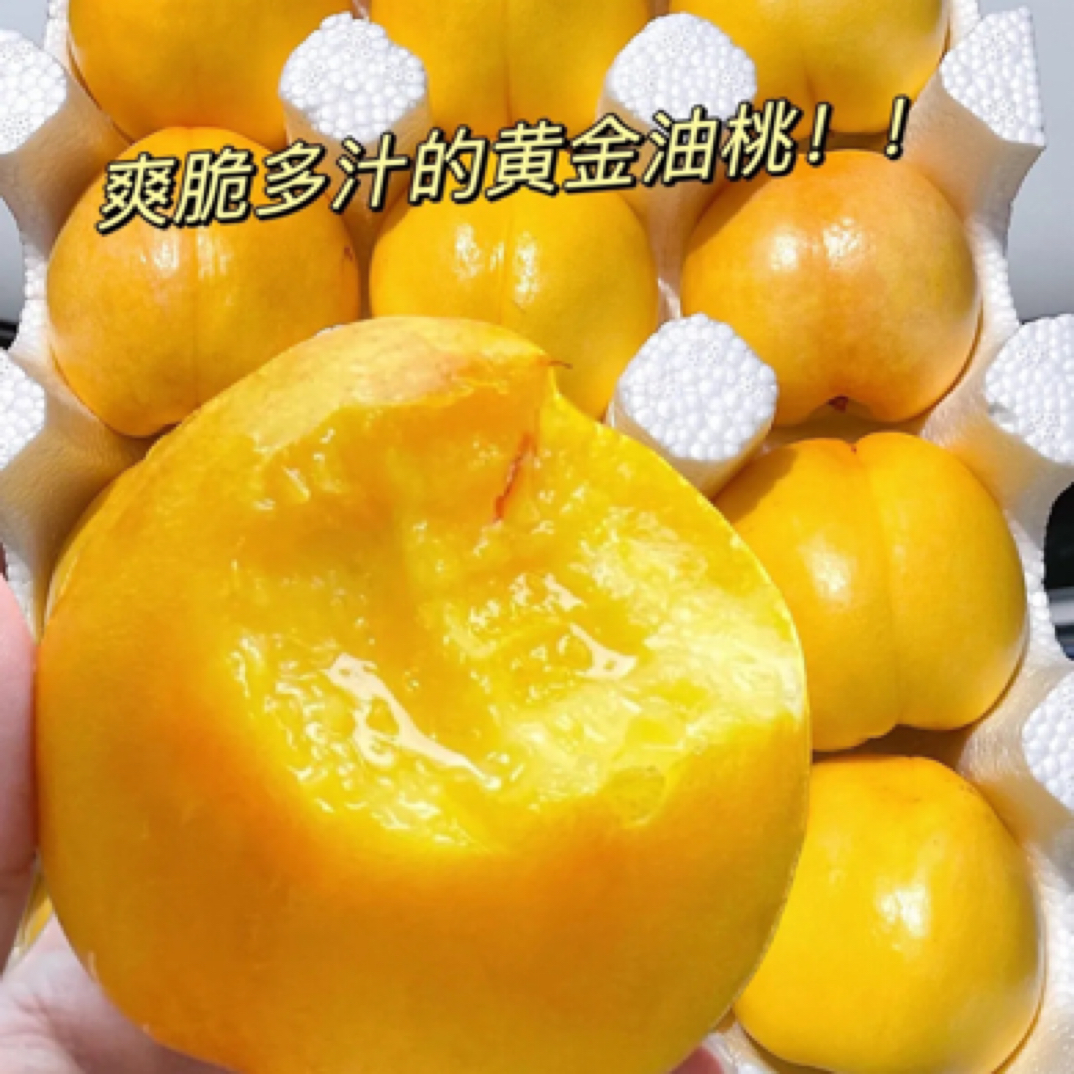 【顺丰次日达】正宗老树黄金油桃蒙阴山东省