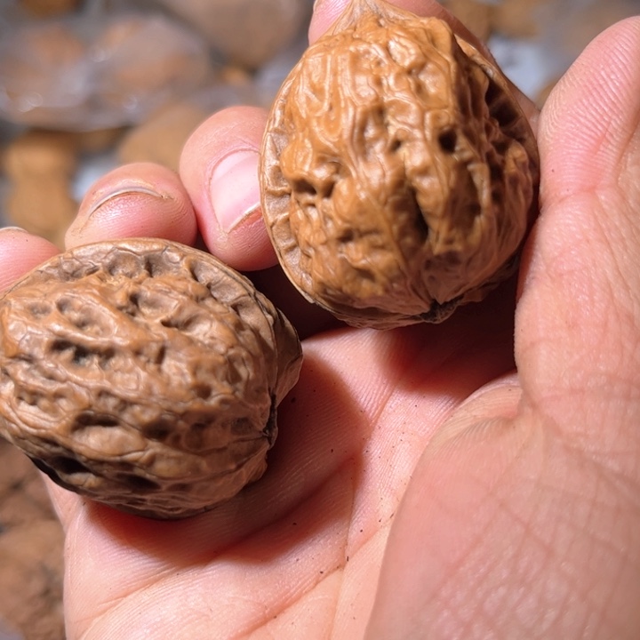 文玩核桃吊坠滇西40