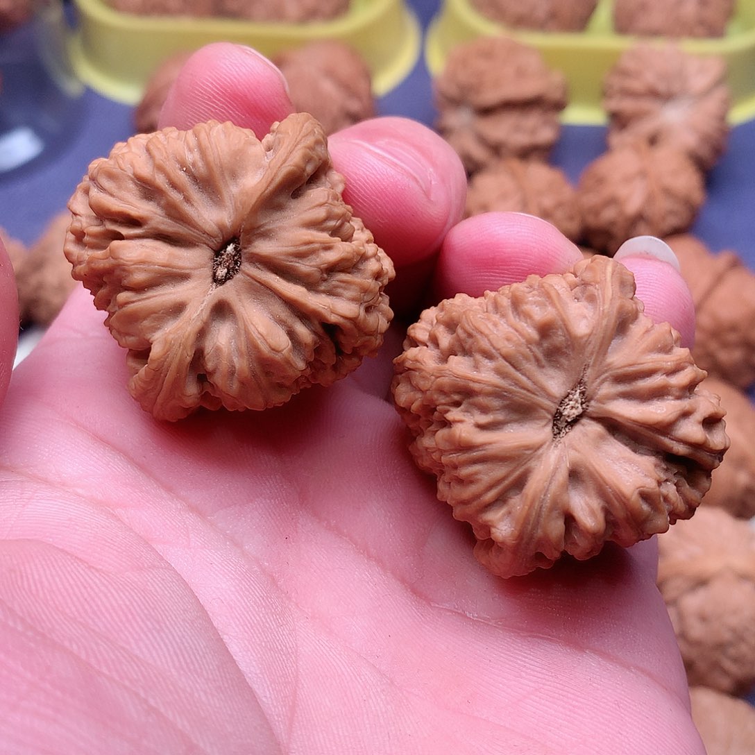 文玩核桃把件高****计福利疆