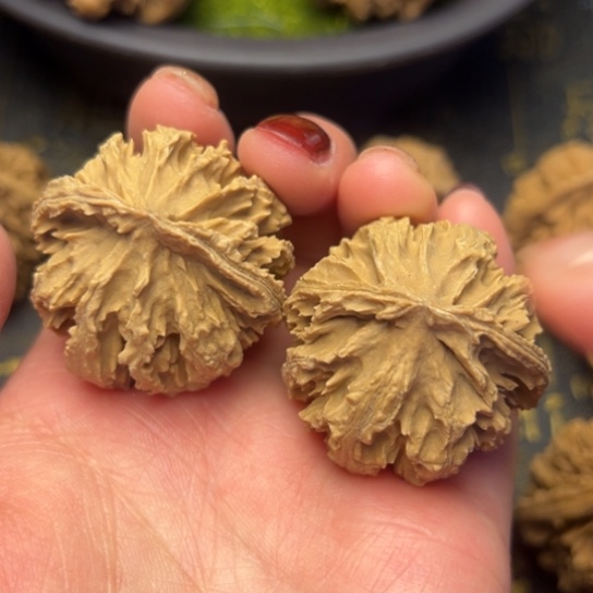 文玩核桃把件秦岭核桃3