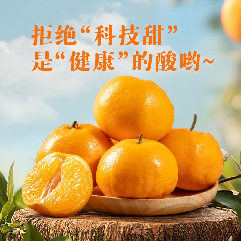 四川耙耙柑（单果180g+）约900g
