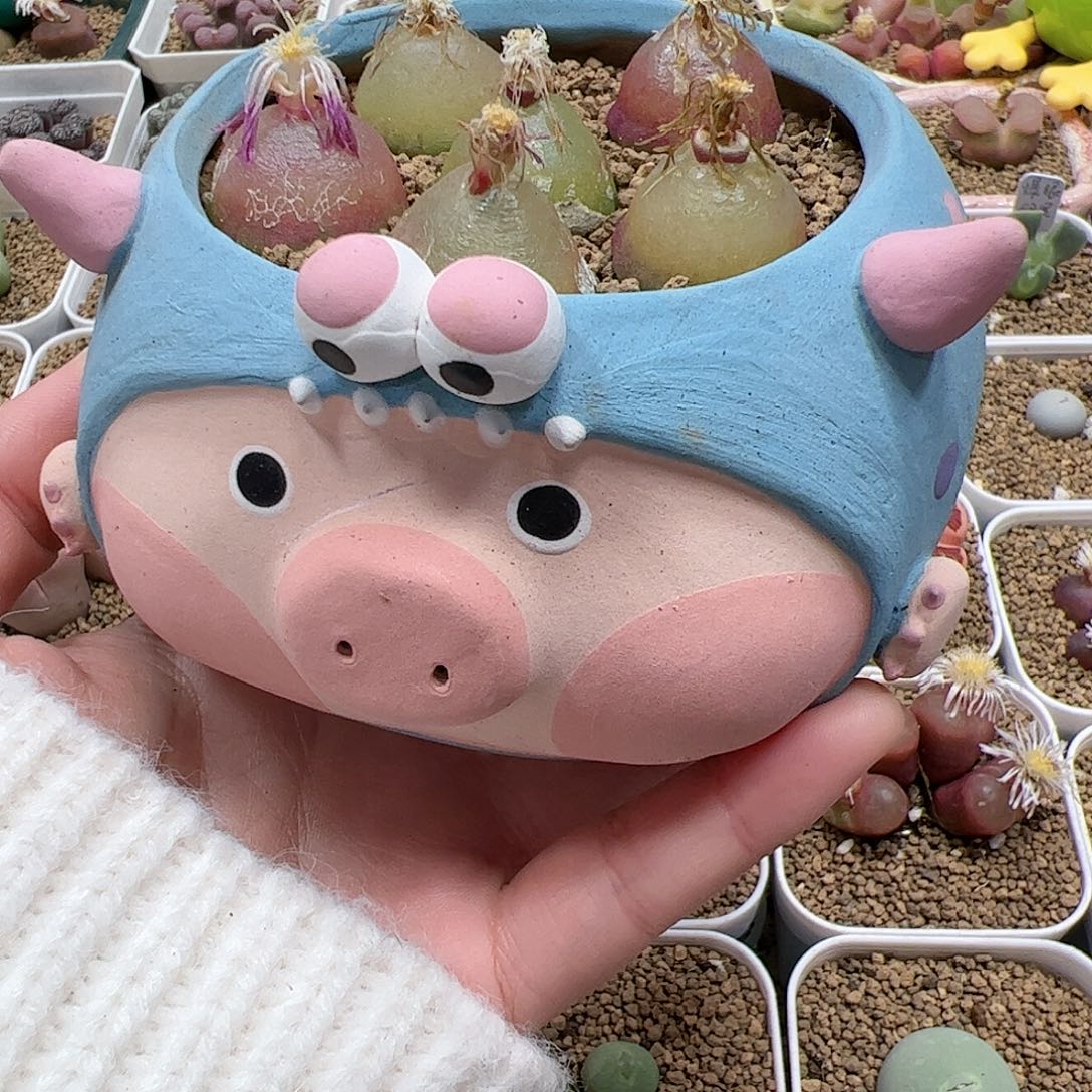 【闪购商品】。*。159 一起