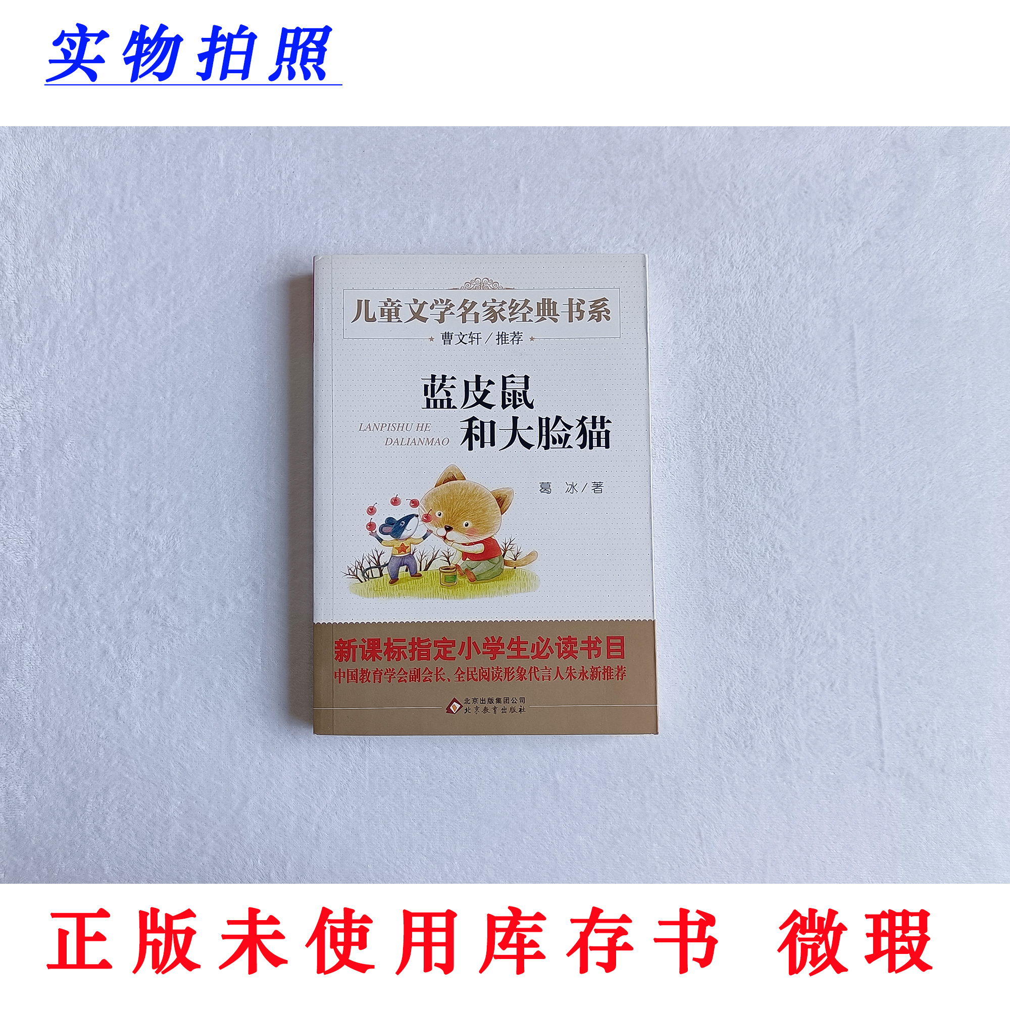 【正版未使用微瑕】蓝皮鼠和大脸猫 儿童文学名家经典书系 新标必读