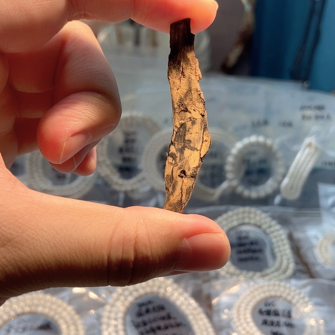 小****星月菩提吊坠星月