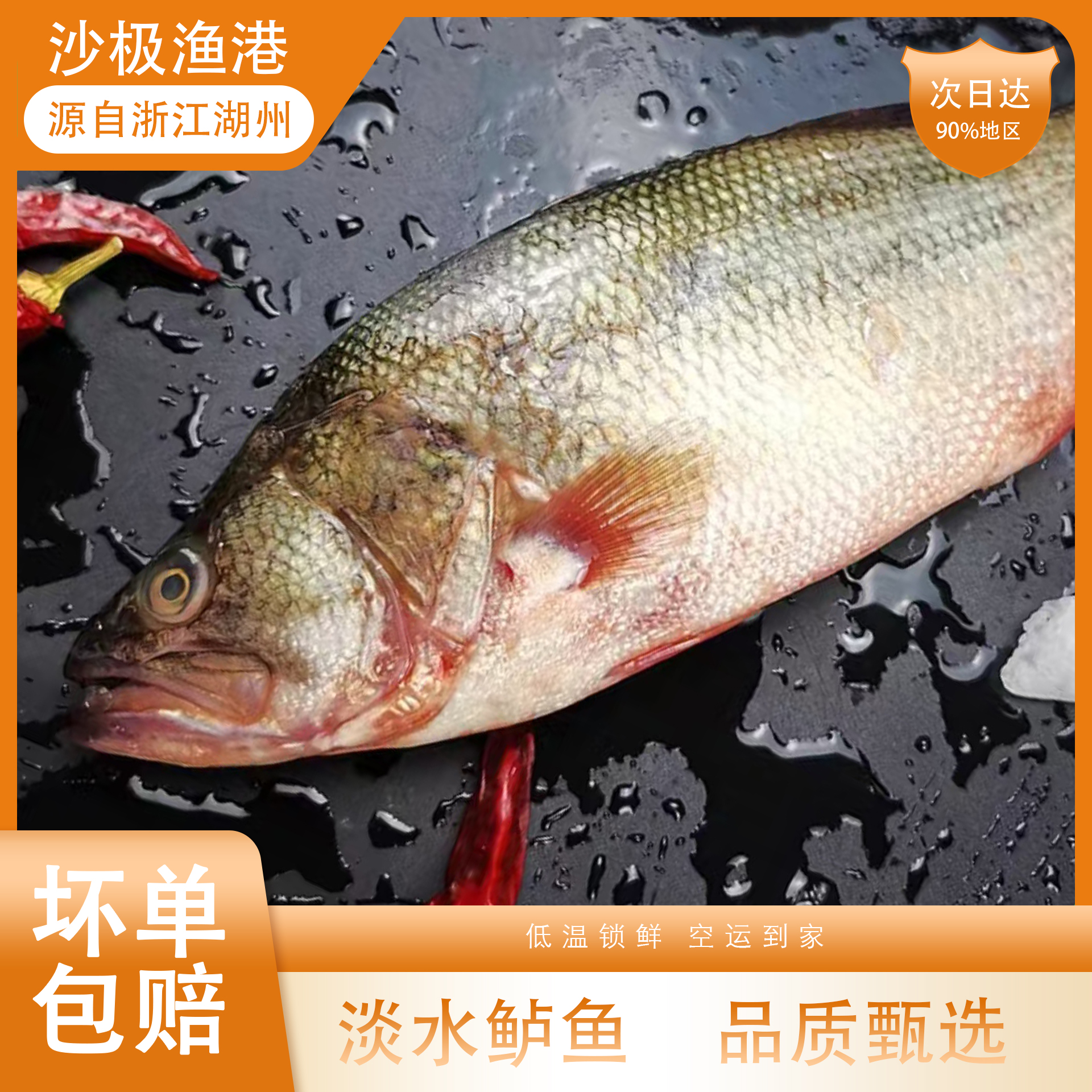  淡水鲈鱼加州鲈鱼鲜活河鲈 1.2-1.8每条 顺丰发货 保鲜