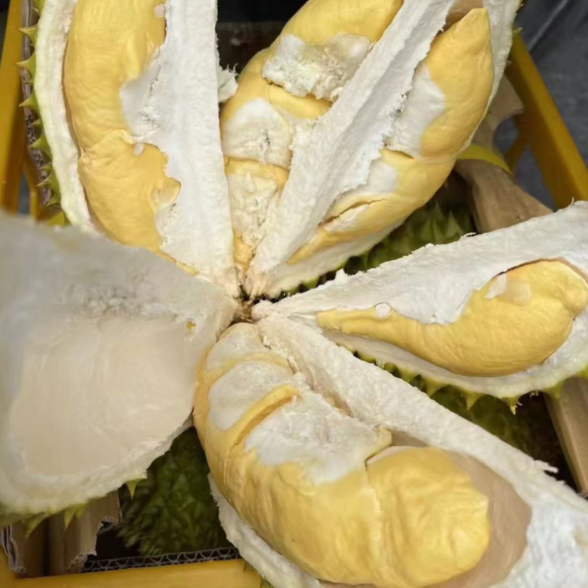 【直播间福利】【现剥】2斤纯肉干扰榴莲鲜榴莲核大树熟赤峰同城送干尧越南