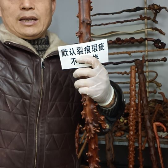 茶***味香榧木高山 檬子木文玩料