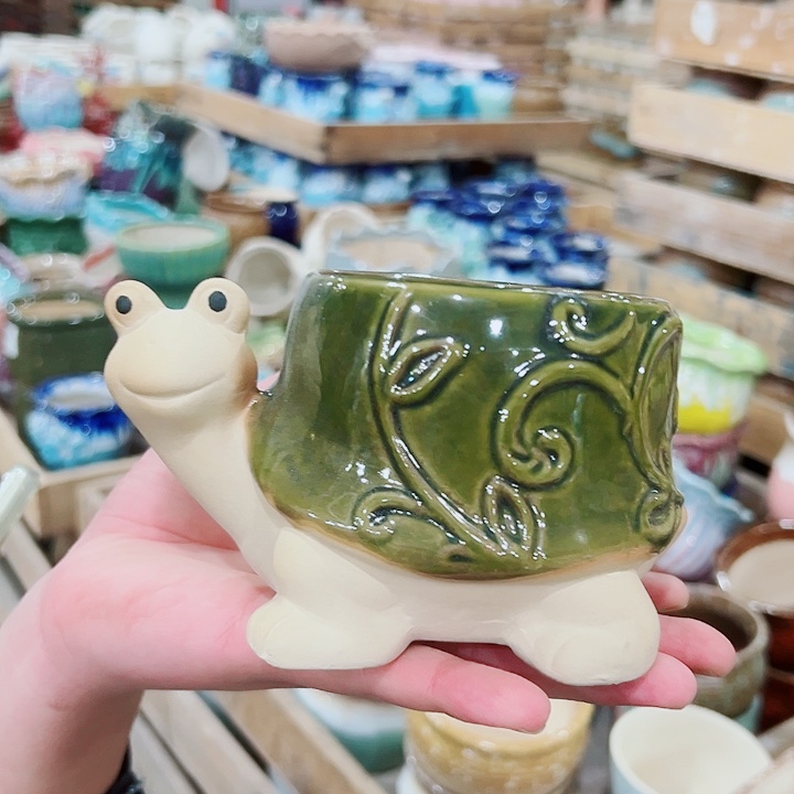 花盆有孔！订单凑满10米包由！